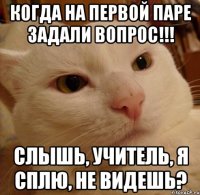 когда на первой паре задали вопрос!!! слышь, учитель, я сплю, не видешь?