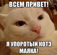 всем привет! я упоротый котэ маяка!