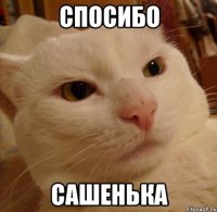спосибо сашенька
