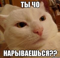 ты чо нарываешься??