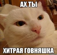 ах ты хитрая говняшка