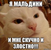 я мальдини и мне скучно и злостно!!!