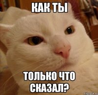 как ты только что сказал?
