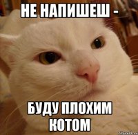 не напишеш - буду плохим котом