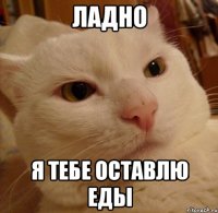 ладно я тебе оставлю еды