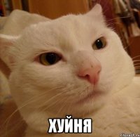  хуйня