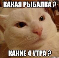какая рыбалка ? какие 4 утра ?