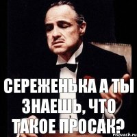 Сереженька а ты знаешь, что такое просак?