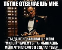 ты не отвечаешь мне ты даже не называешь меня "милый" зачем ты так обижаешь меня, что плохого я сделал тебе?