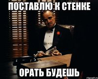 поставлю к стенке орать будешь