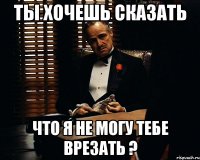 ты хочешь сказать что я не могу тебе врезать ?