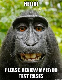 hello! please, review my byod test cases