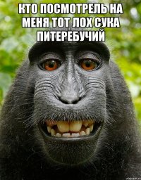 кто посмотрель на меня тот лох сука питеребучий 