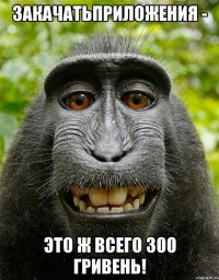 закачатьприложения - это ж всего 300 гривень!