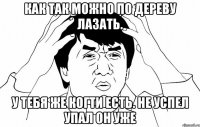 как так можно по дереву лазать. у тебя же когти есть. не успел упал он уже