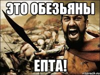 это обезьяны епта!