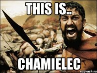 this is.. chamielec