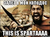 залез в мой холодос this is spartaaaa