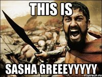 this is sasha greeeyyyyy