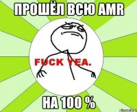 прошёл всю amr на 100 %