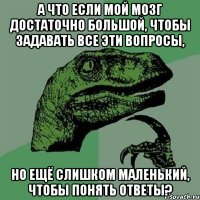 а что если мой мозг достаточно большой, чтобы задавать все эти вопросы, но ещё слишком маленький, чтобы понять ответы?