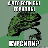 а что если бы гориллы курсили?