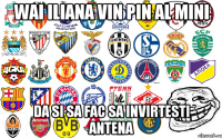 wai iliana vin pin al mini da si sa fac sa invirtesti antena