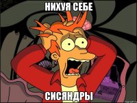 нихуя себе сисяндры