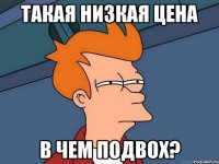 такая низкая цена в чем подвох?