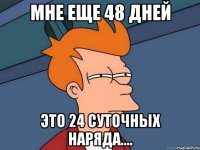 мне еще 48 дней это 24 суточных наряда....