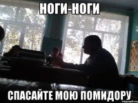 ноги-ноги спасайте мою помидору