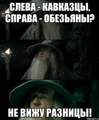 слева - кавказцы, справа - обезьяны? не вижу разницы!