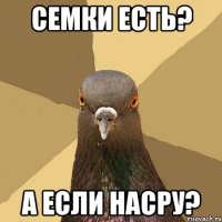 семки есть? а если насру?