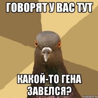 говорят у вас тут какой-то гена завелся?