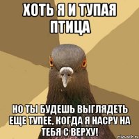 хоть я и тупая птица но ты будешь выглядеть еще тупее, когда я насру на тебя с верху!