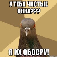 у тебя чистые окна??? я их обосру!