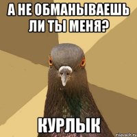 а не обманываешь ли ты меня? курлык