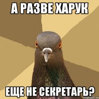 а разве харук еще не секретарь?