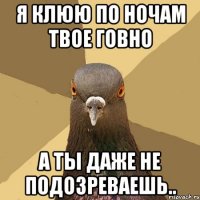 я клюю по ночам твое говно а ты даже не подозреваешь..