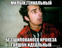 милый,гениальный без шипованого ирокеза горшок идеальный