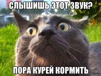 слышишь этот звук? пора курей кормить