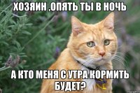 хозяин ,опять ты в ночь а кто меня с утра кормить будет?