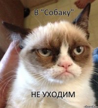 В "Собаку" НЕ УХОДИМ