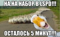 на,на набор в lspd!!! осталось 5 минут!!!