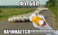 футбол начинается!!!1