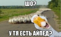 шо? у тя есть айпед?