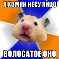 я хомяк несу яйцо волосатое оно