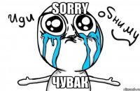 sorry чувак