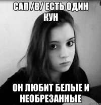 сап /b/ есть один кун он любит белые и необрезанные