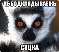 чё бодклядываежь суцка